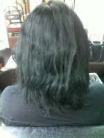 /album/fotogalerie/pred-prodluzkem-jpg/